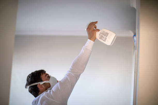 Professional Mold Remediation in Pleasant Ridge, MI