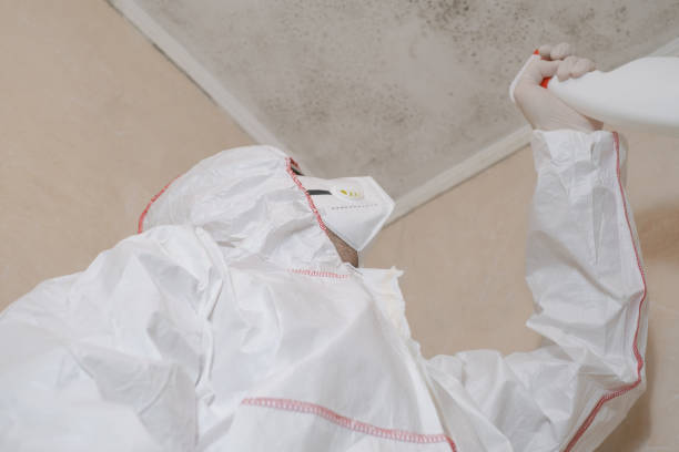 Best Post-Remediation Services in Pleasant Ridge, MI
